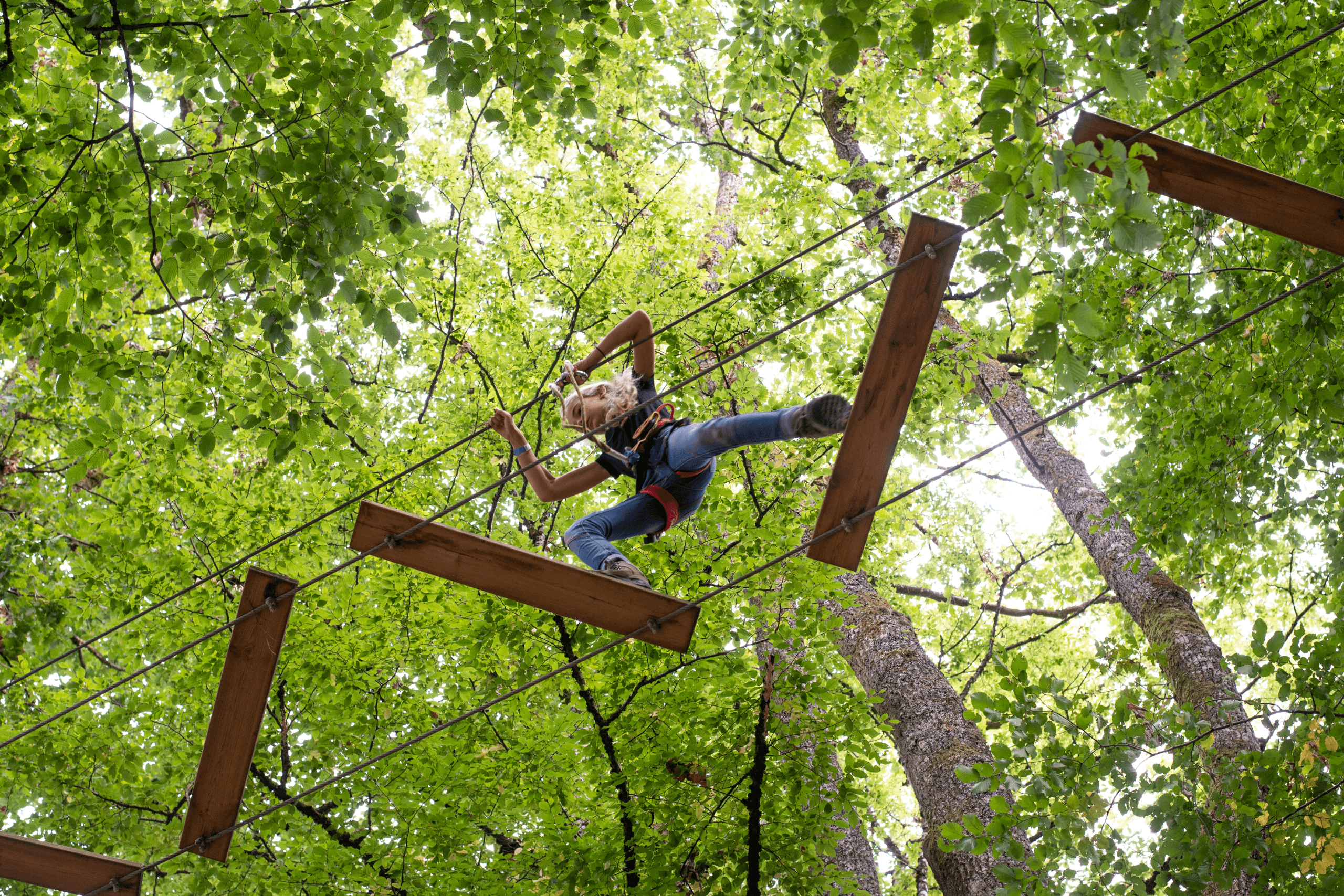 A child in an adventure park
