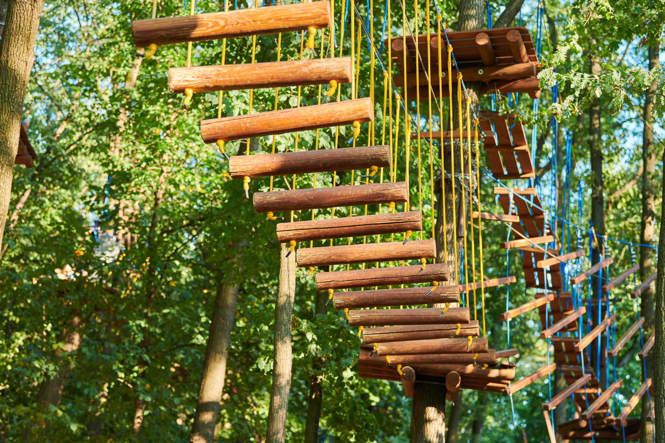 Treetop activity for Scouts